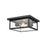 Millennium Evanton 2 Light Outdoor Flush Mount, Bronze/Clear Seeded