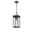 Millennium Lighting Barkeley 1Lt Outdoor Hanging Lantern, Black
