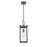 Millennium Barkeley 1Lt Outdoor Hanging Lantern, Bronze/Clear - 42607-PBZ
