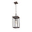 Millennium Barkeley 1Lt Outdoor Hanging Lantern, Bronze/Clear