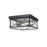Millennium Robinson 2Lt Outdoor Flush Mount, Black/Clear Seeded