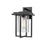 Millennium Adair 1Lt 14" Outdoor Wall Sconce, Black/Clear Seeded