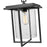 Millennium Adair 1Lt Outdoor Hanging Lantern, Black/Clear Seeded