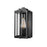 Millennium Lighting Oakland 1Lt 13" Outdoor Wall Sconce, Black/Clear