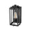 Millennium Lighting Oakland 1Lt 13" Outdoor Wall Sconce, Black/Clear