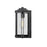 Millennium Lighting Oakland 1Lt 13" Outdoor Wall Sconce, Black/Clear