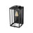 Millennium Lighting Oakland 1Lt 17" Outdoor Wall Sconce, Black/Clear