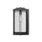 Millennium Lighting Oakland 1Lt 17" Outdoor Wall Sconce, Black/Clear