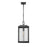 Millennium Lighting Oakland 1Lt Outdoor Pendant, Coated Black/Clear - 42635-PBK
