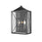 Millennium Caswell 2Lt Outdoor Wall Sconce, Black/Clear Seeded