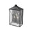 Millennium Caswell 3Lt Outdoor Wall Sconce, Black/Clear Seeded