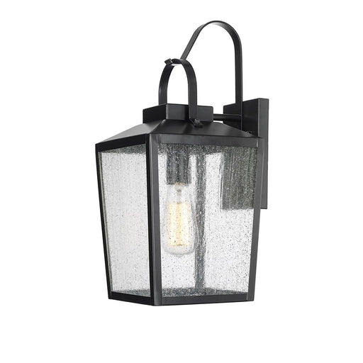 Millennium Devens 1Lt 16" Outdoor Wall Sconce, Black/Clear Seeded