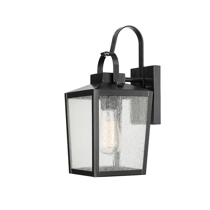 Millennium Devens 1Lt 18" Outdoor Wall Sconce, Black/Clear Seeded