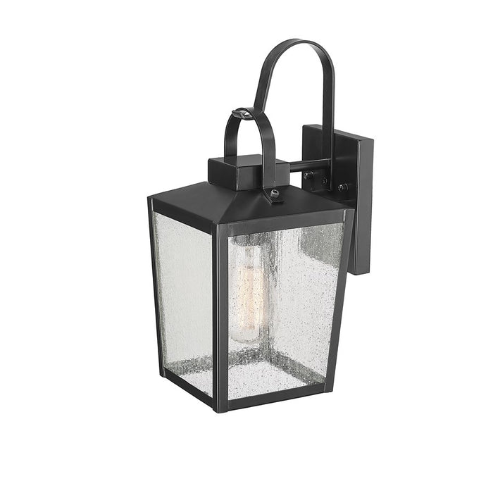 Millennium Devens 1Lt 18" Outdoor Wall Sconce, Black/Clear Seeded