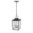 Millennium Devens 2Lt Outdoor Hanging Lantern, Black/Clear Seeded