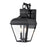 Millennium Lighting Edenton 2Lt 18" Outdoor Wall Sconce, Black/Clear - 43102-MB