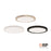 RP Lighting Slim Edge-Lit 15" LED Disc, Matte Black