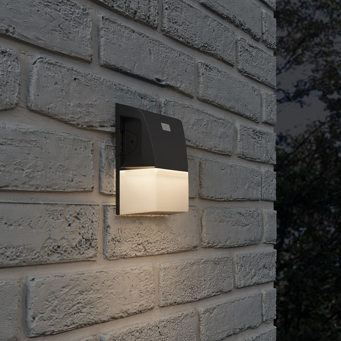 RP Lighting Wall Pack Mini 8" LED Light, Bronze