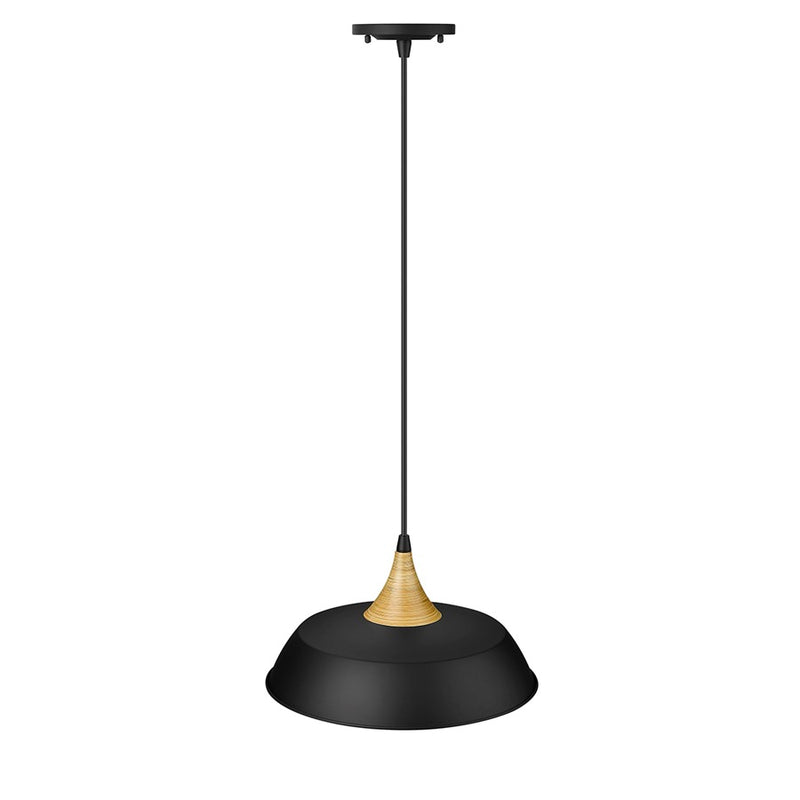 Millennium Lighting Arlo 1 Light Pendant, Matte Black