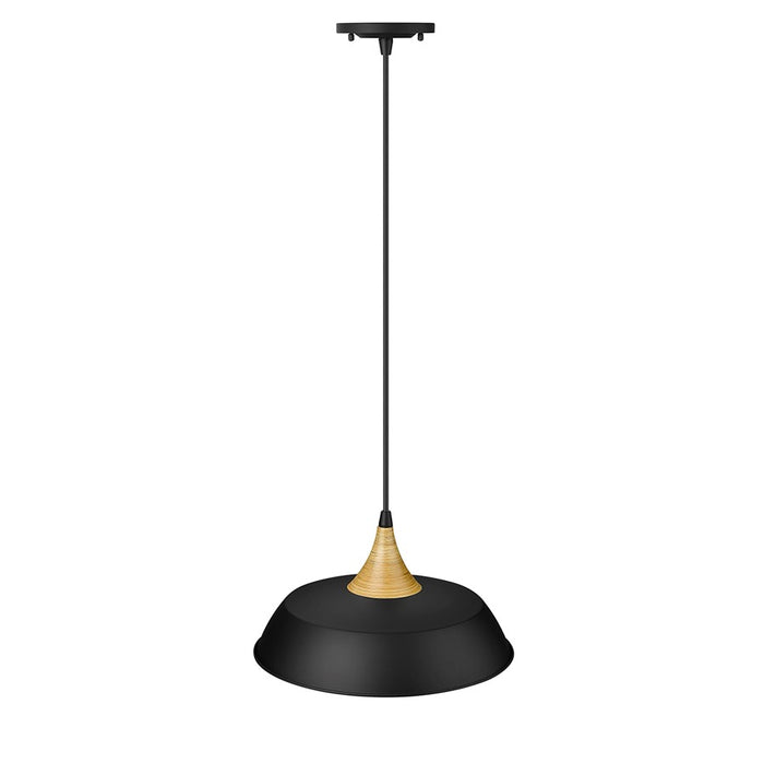 Millennium Lighting Arlo 1 Light Pendant, Matte Black