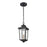 Millennium Eldrick Outdoor Hanging Lantern, Clear
