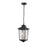 Millennium Lighting Eldrick 2Lt Outdoor Hanging Lantern, Black