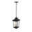 Millennium Lighting Eldrick 2Lt Outdoor Hanging Lantern, Black