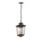 Millennium Lighting Eldrick 2Lt Outdoor Pendant, Coated Bronze