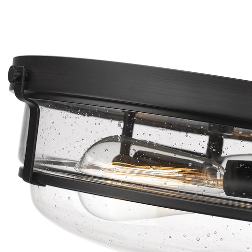 Millennium Lighting Mayson 2Lt Flushmount, Black