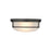 Millennium Lighting Arlson 2Lt Flushmount, Black - 4662-MB