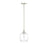 Millennium Lighting Asheville 1Lt Mini-Pendant, Brushed Nickel/Clear