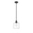 Millennium Lighting Asheville 1Lt Mini-Pendant, Black/Clear - 46901-MB