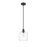 Millennium Lighting Asheville 1Lt Mini-Pendant, Black/Clear