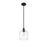 Millennium Lighting Asheville 1Lt Mini-Pendant, Black/Clear