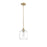 Millennium Lighting Asheville 1Lt Mini-Pendant, Modern Gold/Clear
