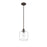 Millennium Asheville 1Lt Pendant, Rubbed Bronze/Clear