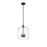 Millennium Lighting Asheville 3Lt Pendant, Black/Clear