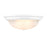 Millennium Lighting 13" 2 Light Semi-Flush