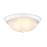 Millennium Lighting 13" 2 Light Semi-Flush