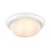 Millennium Lighting 13" 2 Light Semi-Flush