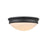 Millennium Flushmount Ceiling Light, Matte Black
