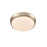 Millennium Lighting Flush Mount, Modern Gold/Etched White