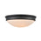 Millennium Flushmount Ceiling Light, Matte Black