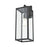 929 Lighting Atless 1Lt Outdoor Wall Lantern, Black/Clear