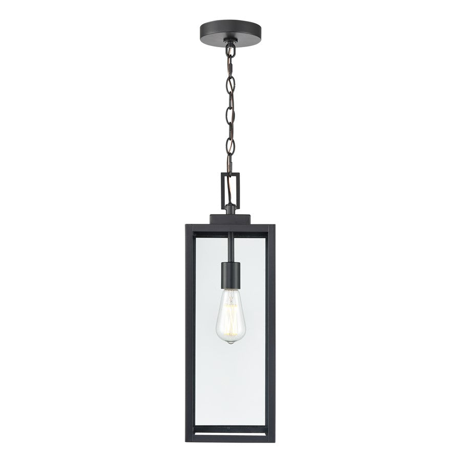 929 Lighting Atless 1Lt Outdoor Pendant, Black/Clear - 60191-PBK