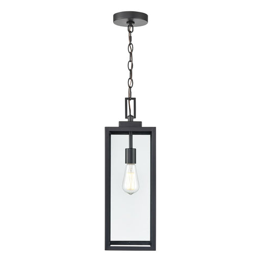929 Lighting Atless 1Lt Outdoor Pendant, Black/Clear