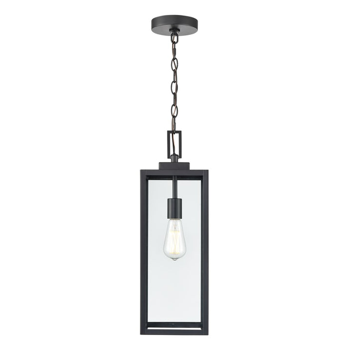 929 Lighting Atless 1Lt Outdoor Pendant, Black/Clear