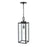 929 Lighting Atless 1Lt Outdoor Pendant, Black/Clear