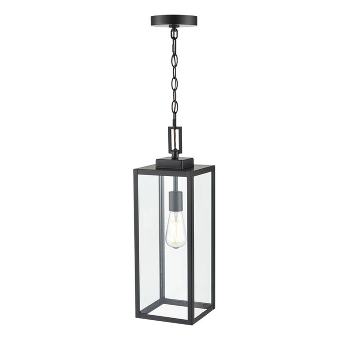 929 Lighting Atless 1Lt Outdoor Pendant, Black/Clear