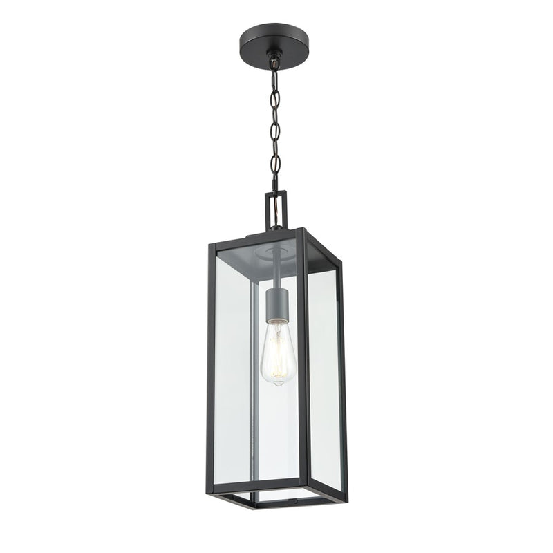 929 Lighting Atless 1Lt Outdoor Pendant, Black/Clear